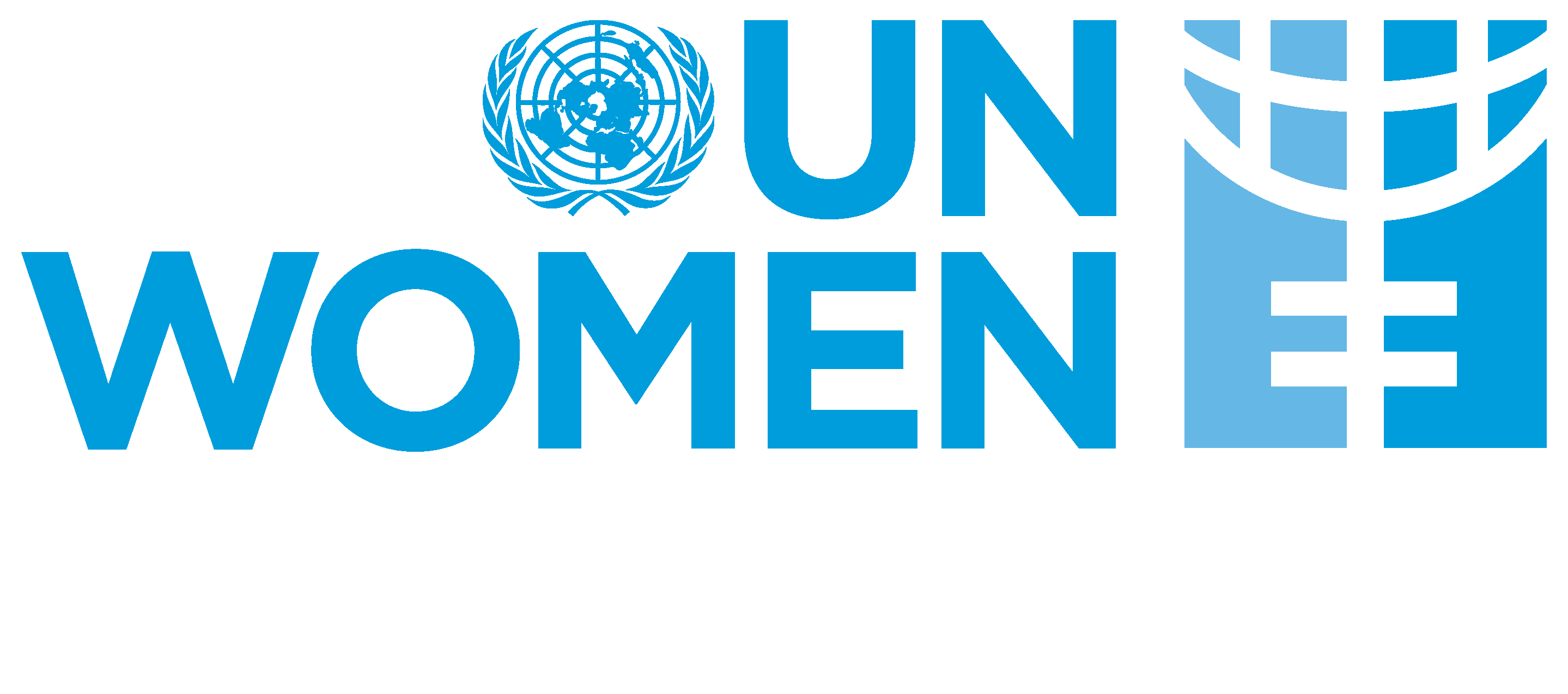 Senior National Consultant: Gender Governance