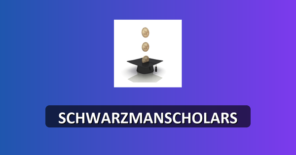 Schwarzman Scholars Program 2027—Leadership Development