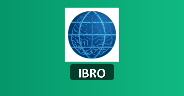 IBRO Parenthood Grant 2026—Research Continuity